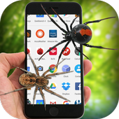 Spider on Screen Funny Prank icon