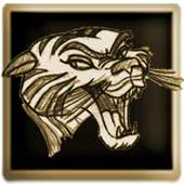 J Gold Ice Icons Pack on 9Apps