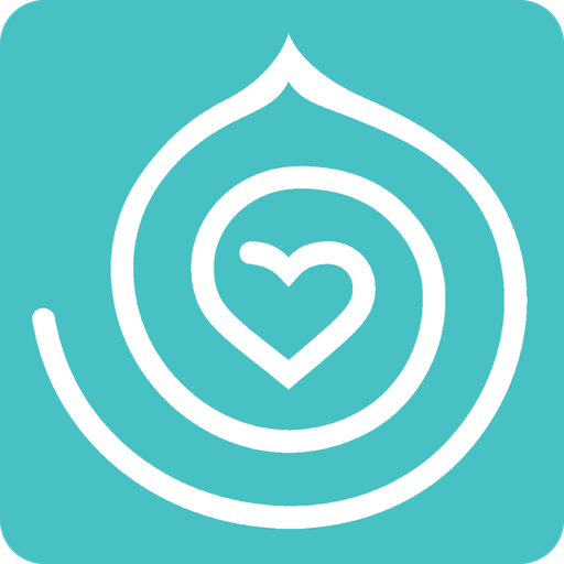 2013 Version - Body Code 2.1 icon