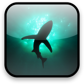 Shark Video Wallpaper Free icon