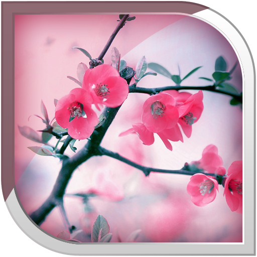 Spring Flowers Live Wallpaper icon