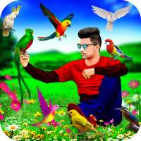 Bird Photo Editor on 9Apps