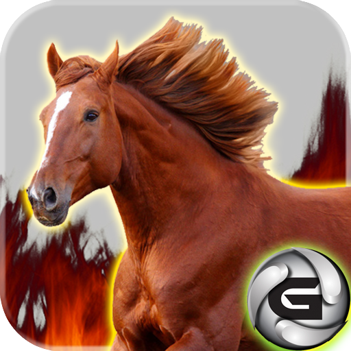 Horse Rush 3D icon