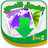 Image downloader icon