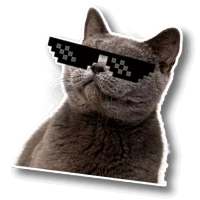 WAStickerApps Cat memes