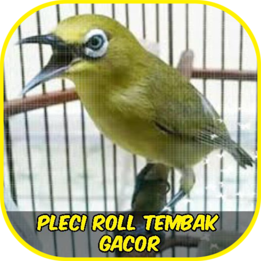 Pleci Roll Tembak Gacor Ofline icon
