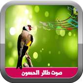 صوت طيور الحسون on 9Apps