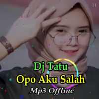 Dj Opo Aku Salah - Tatu Offline on 9Apps