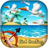 Archery Birds Hunting