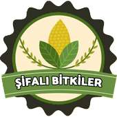 Şifalı Bitkiler & Bitkisel Tedavi ile Zayıflama