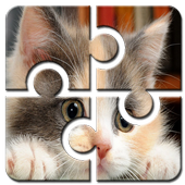 Cat Jigsaw Puzzle HD Free icon