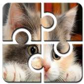Cat Jigsaw Puzzle HD Free