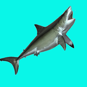 SHARK EATING SHARK-GAME FREE icon