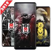 Kara Kartal Duvar Kağıtları 4K on 9Apps