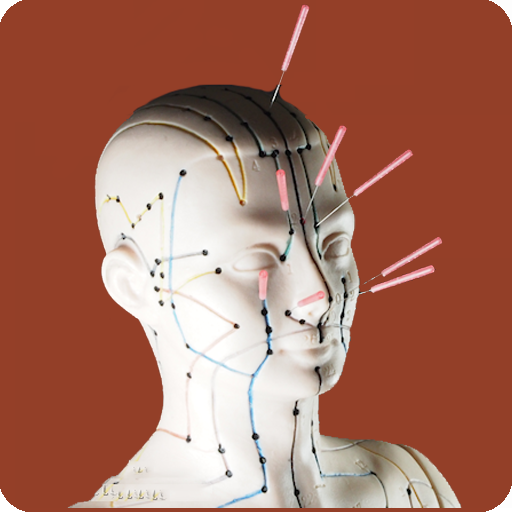 Acupuncture Guide icon