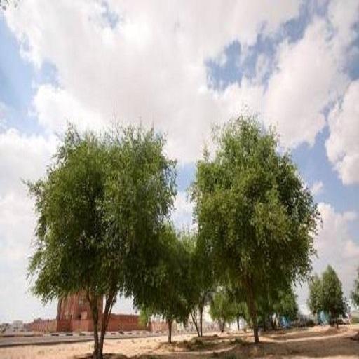 Magungunan Sihiri da Kambun Baka 1 icon