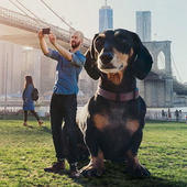 Big Camera - Big Photo icon