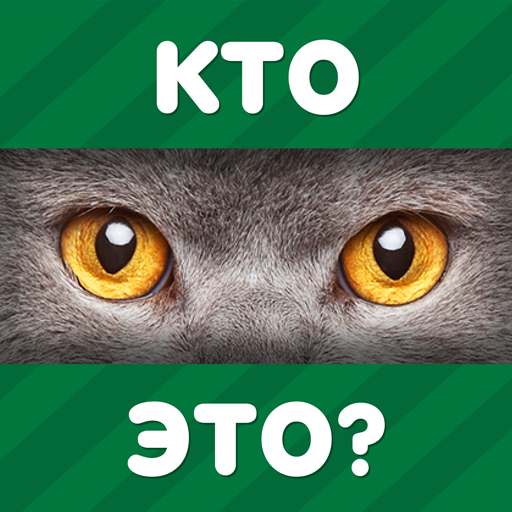 101 Картинка : Фото Викторина иконка