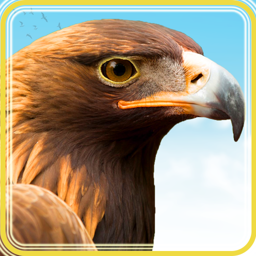 Bird Hunting 2021: Sniper 3D Hunter Games icon