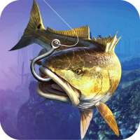 Wild Shark Fish Hunting game