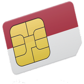 SIM CARD Information icon