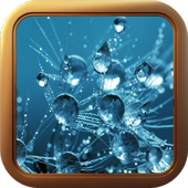 Tema Tembus Pandang Bergerak Animasi icon