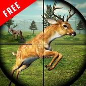 Safari Hunting Challenge icon