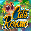 Cat Cartoon Rescue Game icon