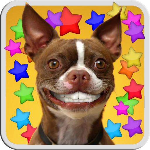 DOG SMILES LIVE WALLPAPER icon