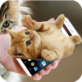 On Screen Cat Walks: Funny &amp; Cute Animation أيقونة