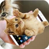 On Screen Cat Walks: Funny & Cute Animation