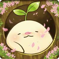 Mandora