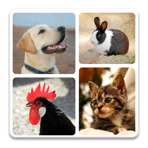 Animal Quiz - Guess Animal icon