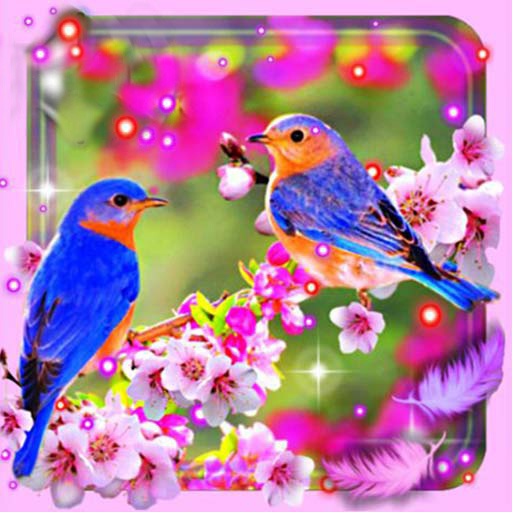 Beauty Birds иконка