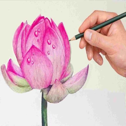 How to draw Flowers иконка