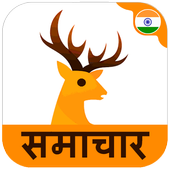 Hindi News icon