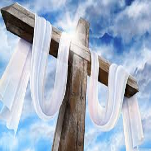 IROKO DEVELOPERS icon