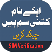 Sim Verification icon