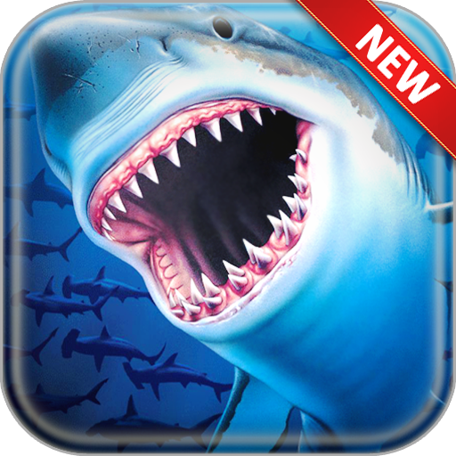 Shark Wallpapers icon
