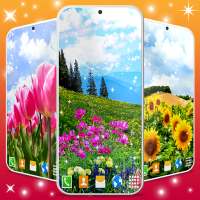 Flowers Live Wallpaper 🌻 Flower Field Wallpapers on 9Apps