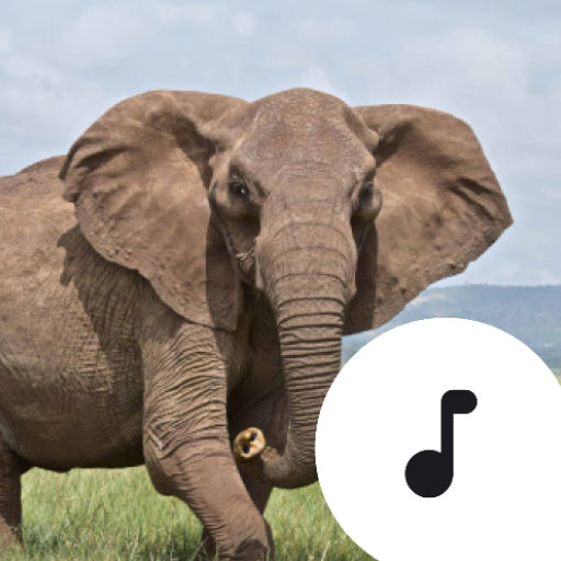 Elephant Sounds icon