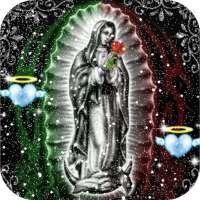 Virgen De Guadalupe Nevando Fondo En Movimiento