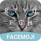 Blue Eyes Cat Keyboard Theme for Whatsapp