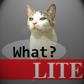 Talkicat Lite icon
