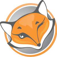 FoxyProxy VPN
