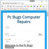 Pc Bugs Computer Repairs icon