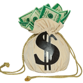 Day To Day Earn$ icon