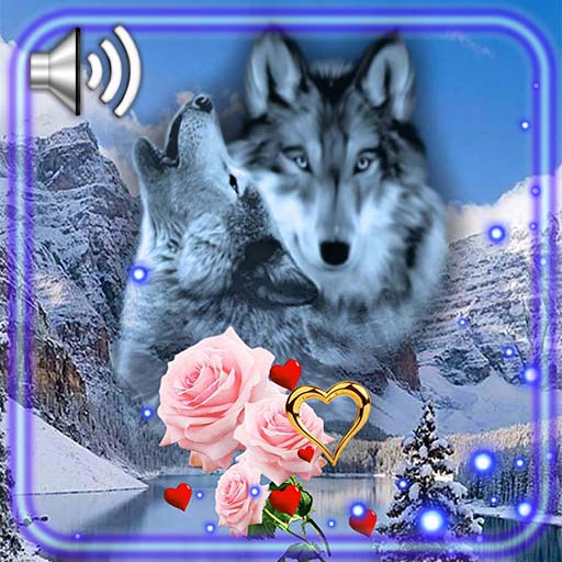 Love Wolf Live Wallpaper icon