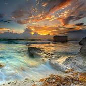 Don Nature Wallpaper icon
