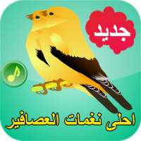 أحلى نغمات الطيور و العصافير بدون انترنت on 9Apps